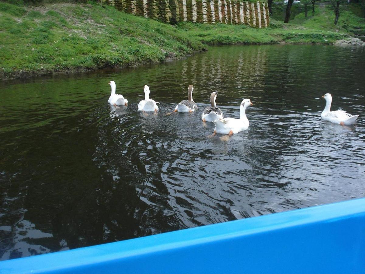 Riverside Resort Lansdowne Esterno foto